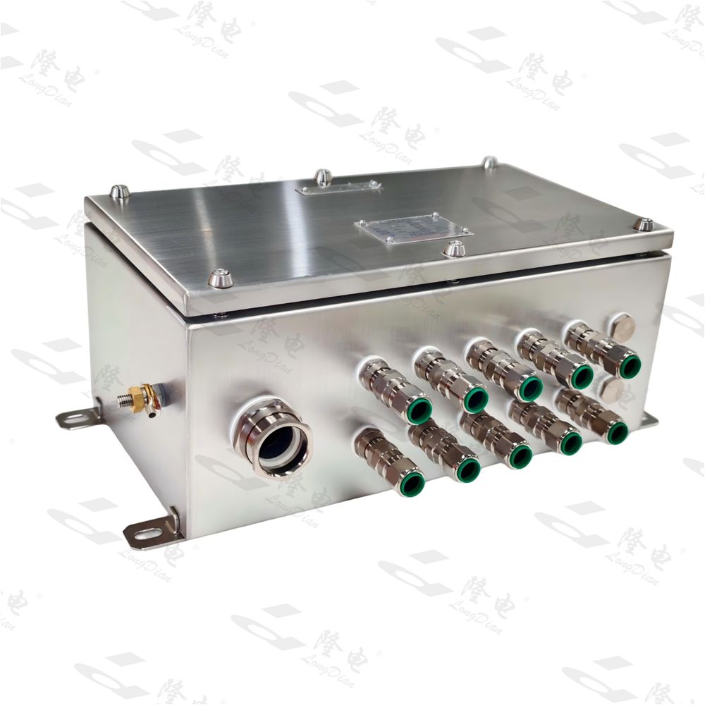 B-01 LD-FBJX Series Increased Safety Explosion-Proof Junction Box (Ex e II / DIP)