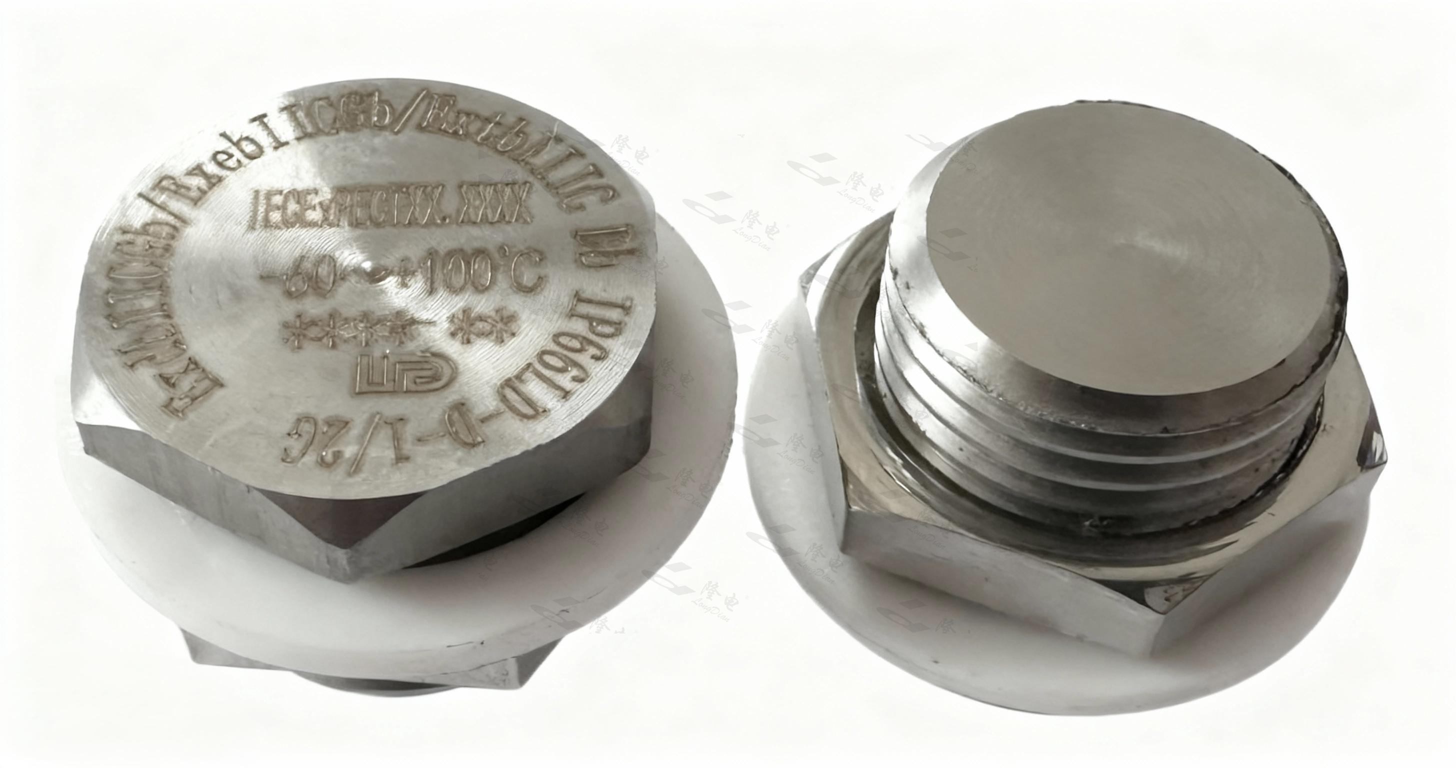 B-08-LD-D Series Explosion-proof Stopping Plug
