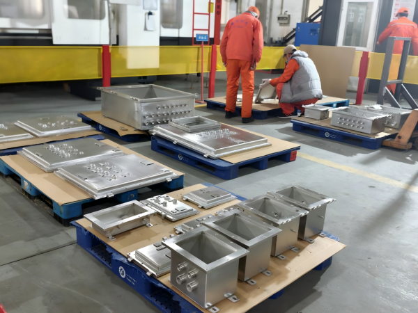 Longdian Updates | Quality Month in Action: Full-Chain Quality Improvement Delivers Results