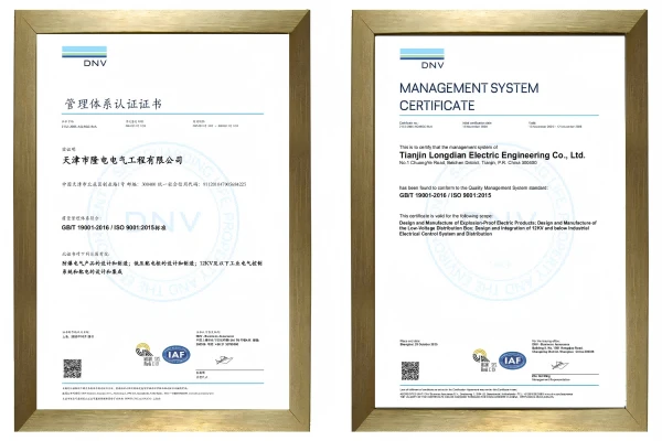 LONGDIAN UPDATES | Longdian Successfully Passes ISO 9001 Three-Year Recertification Audit