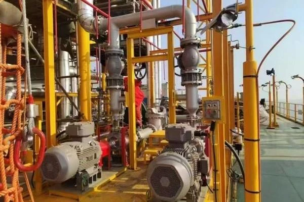 LONGDIAN UPDATES | Congratulations on the Successful Ignition of the Heat Medium Heater at CNOOC Caofeidian Project