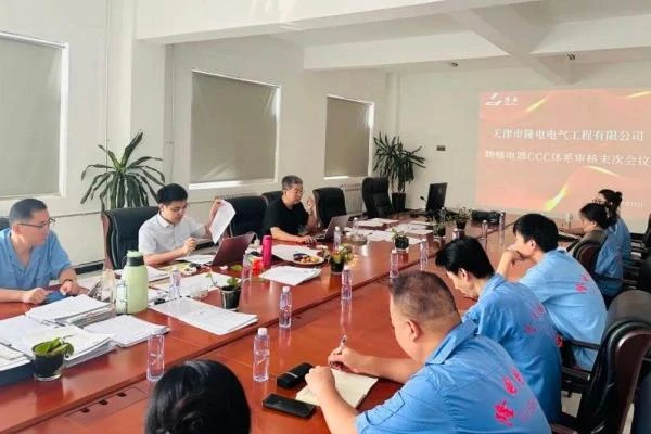 LONGDIAN UPDATES | Certification Experts Visit to Reinforce the Foundation of Explosion-Proof Electrical CCC System