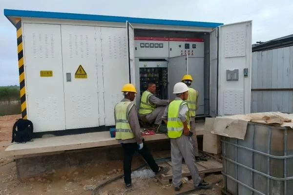 LONGDIAN UPDATES | Our Service Follows Wherever Our Products Go