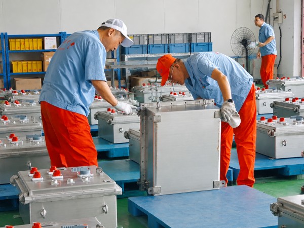 LONGDIAN Manufacturing | Striving to Expand Overseas Markets with New Business Achievements