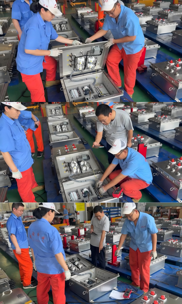 LONGDIAN Manufacturing | Striving to Expand Overseas Markets with New Business Achievements
