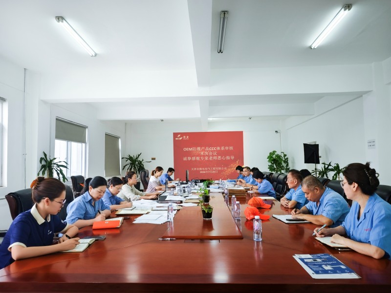 LONGDIAN Updates | Strictly Control OEM Quality Standards, Solidify OEM Compliance Strength