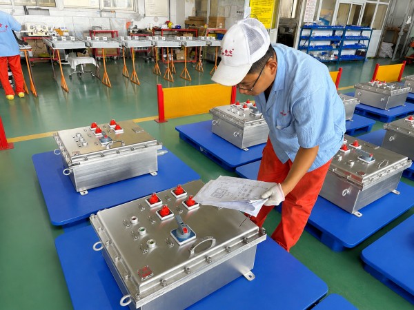 LONGDIAN Manufacturing | Striving to Expand Overseas Markets with New Business Achievements