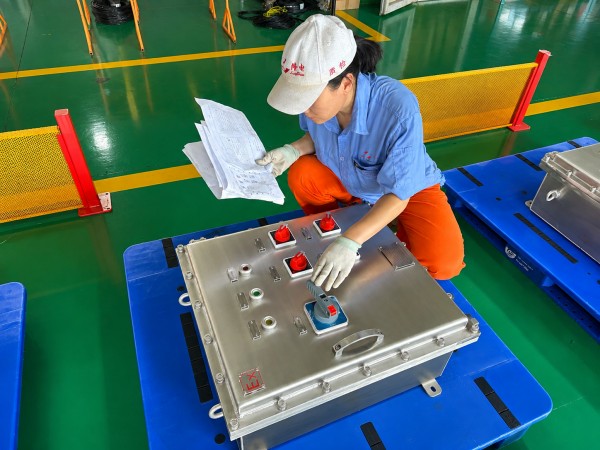 LONGDIAN Manufacturing | Striving to Expand Overseas Markets with New Business Achievements